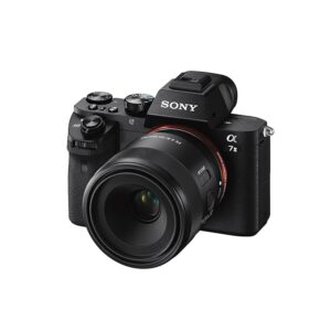 SONY SEL50M28 Standard Prime Lens (Black, 50 mm)