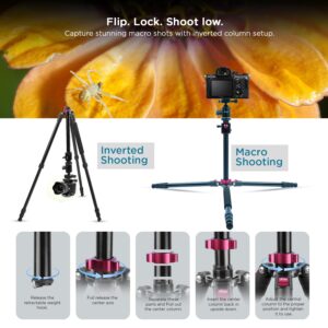 HIFFIN® HF-550 Professional Aluminum Tripod & Monopod with 165CM Max Height | Swivel Ball Head, 4-Section Adjustment, 7kg Load Support | Perfect for DSLR & Video Camcorders